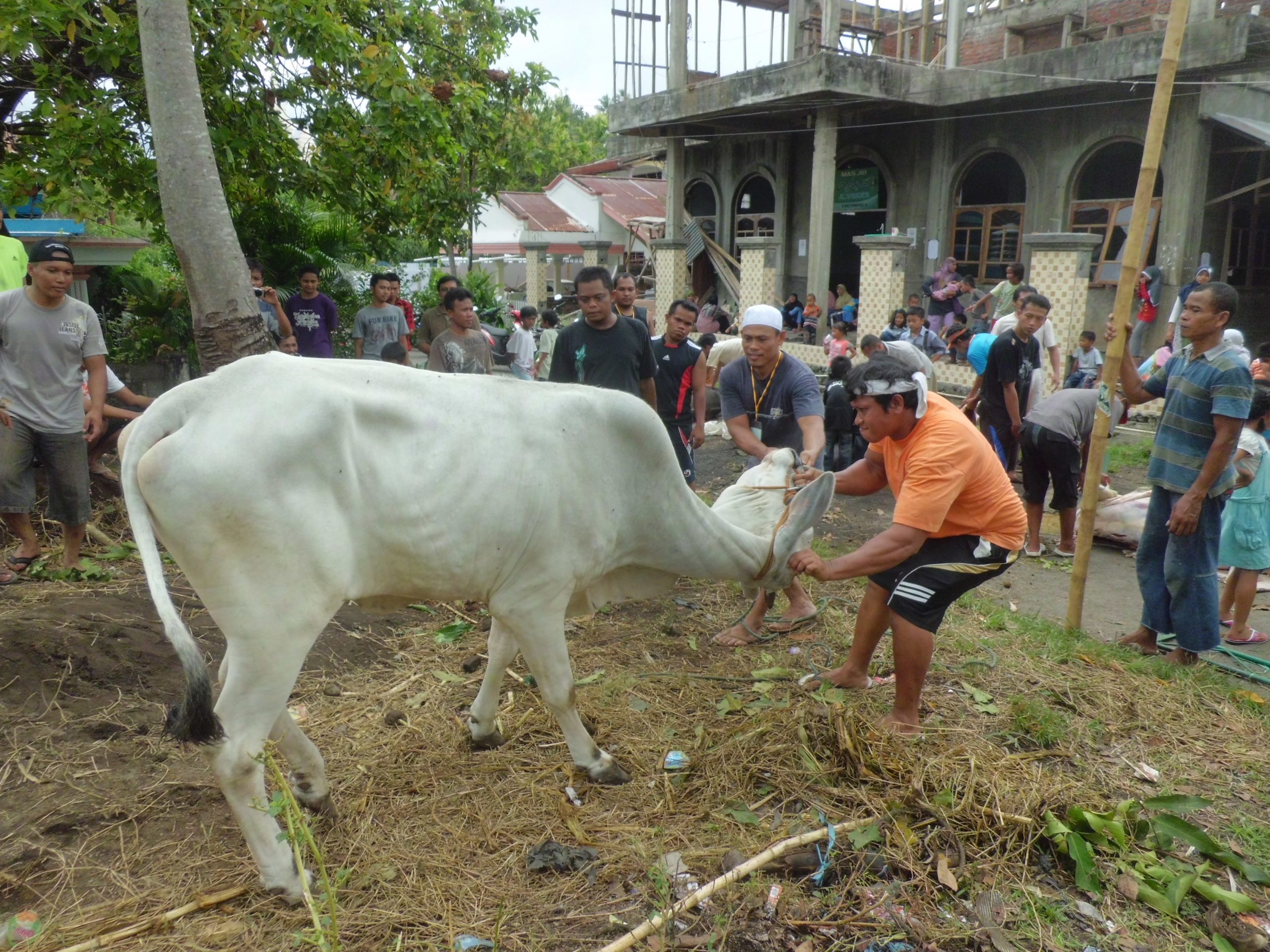 ldii bitung