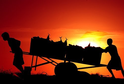 Hidup Mandiri