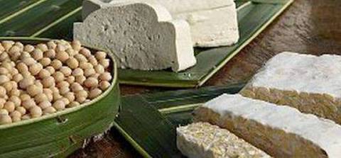 harga-kedelai