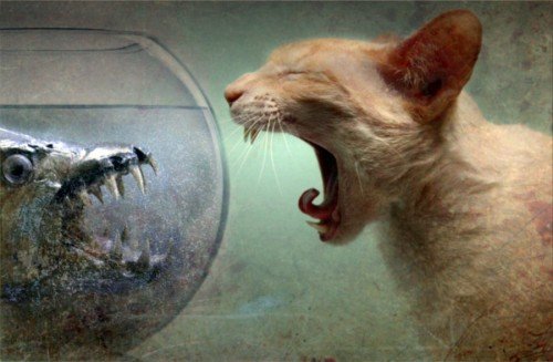 deviantart.com -500x327 www.elephantjournal.com