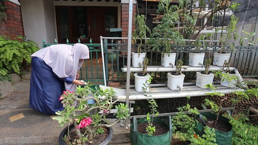 Pupuk Organik Mudah