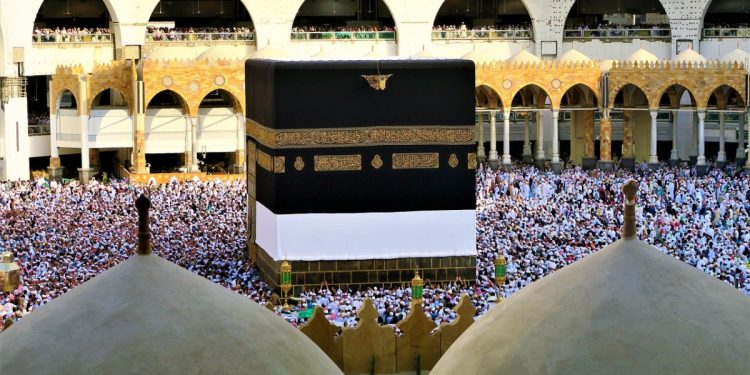 foto: konevi/pixabay