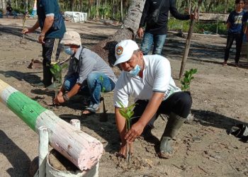 LDII Kalbar dan IAP Tanam 3.000 Mangrove Cegah Abrasi