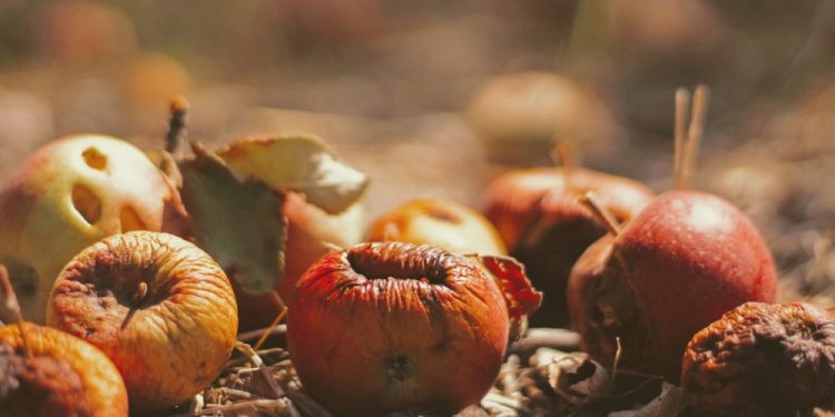 dok: JoshuaHoehne/unsplash