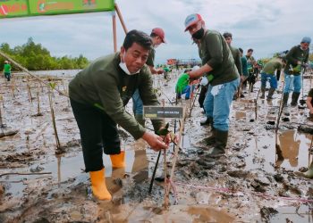 Yayasan IKAMaT: Mangrove sebagai Barrier Bencana dan Sumber Kehidupan