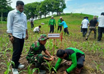 Bupati Dompu Apresiasi LDII Tanam 1.000 Pohon Untuk Pelihara Lingkungan