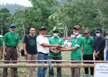 LDII Bengkulu Tanam Pohon di Kawasan Wisata Desa Napal Jungur
