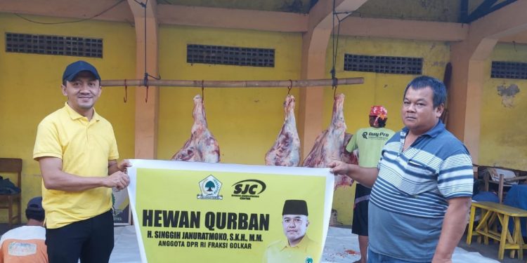 Relawan SJC membagikan daging kurban kepada DPD Golkar di Sukoharjo, Boyolali, Klaten, dan Surakarta. Selain itu, hewan kurban juga disalurkan SJC melalui DPD LDII di wilayah tersebut pada Selasa (11/7).