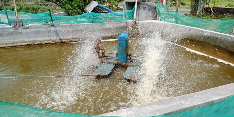 Petambak Lamongan memanfaatkan tenaga surya hingga menghemat jutaan rupiah. Foto: LINES.