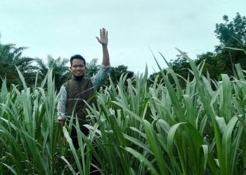 Sayur Lodeh dan Pahit Manisnya Kehidupan