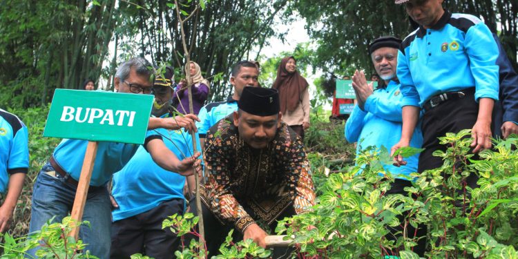 Arboretum Teh Jamus yang dibangun LDII diresmikan Bupati Ony Anwar. Foto: LINES.