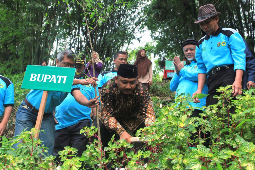 Gerakan Menanam Pohon