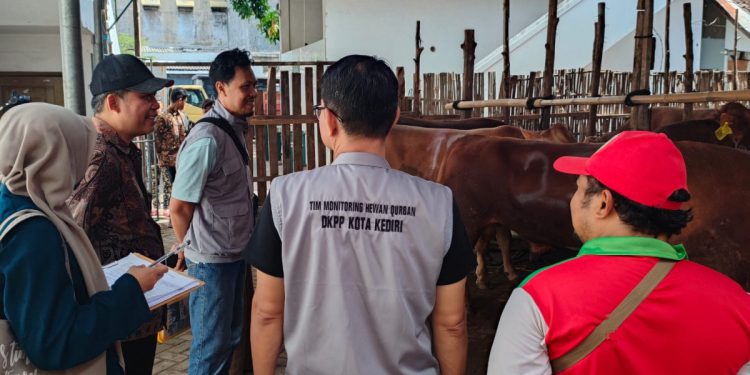Petugas dari Dinas Ketahanan Pangan dan Pertanian (DKPP) Kota Kediri meninjau langsung hewan kurban di Ponpes Wali Barokah. Foto: LINES.