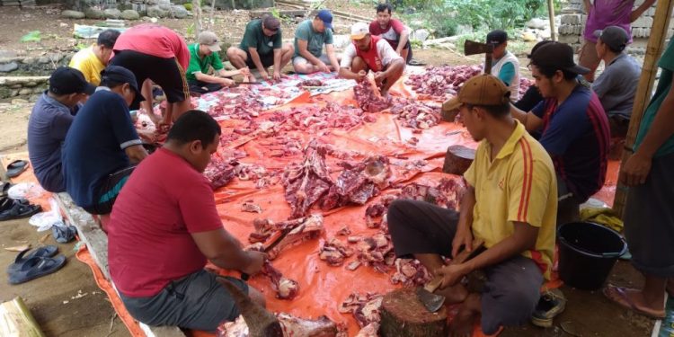 DPW LDII Bengkulu tebar kurban sebanyak 15.000 kupon daging kurban. Menurut data DPW LDII Bengkulu. Foto: LINES.