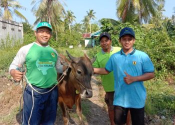 Warga LDII Kalimantan Barat Sembelih 321 Hewan Kurban