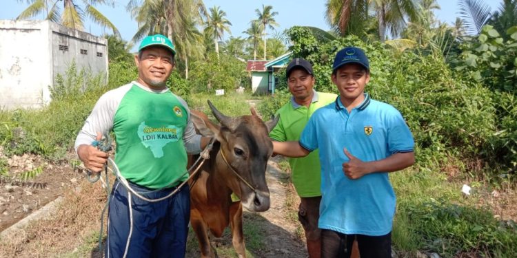 Pada Idul Adha 1444 H warga LDII Kalimantan Barat berhasil menyembelih 321 hewan kurban. Foto: LINES.