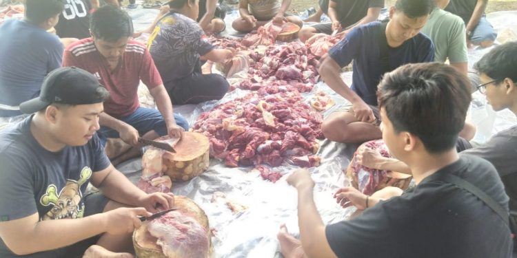 Kurban ldii ldii sesat ldii terdekat ldii jakarta ldii jakarta selatan ldii aliran apa ldii tv ldii jakarta timur ldii mazhab apa ldii tv terbaru hari ini ldii menurut nu ldii dan nu menikah ldii purwakarta ldii ikut mazhab apa ldii kepanjangan dari ldii berdiri tahun berapa ldii adalah ldii apa ldii agama apa ldii apakah sesat ldii aturan ldii aliran islam apa ldii apa itu ldii adalah organisasi ldii australia ldii al zaytun ldii apa artinya ldii apakah wahabi ldii aceh ldii agama ldii bermazhab apa ldii bekasi timur ldii bali ldii berdiri ldii berdiri pada tahun ldii bali foto ldii berdiri pada tahun berapa ldii bolone nu artinya ldii bubar ldii bekasi ldii banten ldii bintaro ldii berbagi takjil ldii bogor ldii ciri ciri ldii cianjur ldii cikarang ldii com ldii cilegon ldii cirebon ldii cilacap ldii cadar ldii cileungsi ldii cempaka putih ldii ciamis ldii cimahi ldii ciledug ldii cikini ldii cinunuk ldii dan nii ldii dan muhammadiyah ldii dan mta ldii di jepang ldii dibubarkan ldii di australia ldii di malaysia ldii didirikan pada tahun ldii di korea selatan ldii dekat sini ldii depok ldii dilarang di indonesia ldii di amerika ldii dari mana ldii eksklusif e monev ldii ldii baleendah bintang emon ldii cak emir ldii alamat email ldii ldii fatwa mui persegi ldii fakta ldii faham ldii fakta ldii sesat fikih ldii film ldii fp ldii ldii idul fitri 2023 dpp ldii foto ikbal fauzi ldii logo persegi ldii zakat fitrah ldii tim futsal ldii ldii golkar ldii golongan apa ldii gresik ldii gunungkidul ldii garut ldii gondanglegi ldii go id ldii gadingmangu ldii gading ldii generus ldii google golongan ldii galipat ldii gambar ldii gerakan ldii ldii hari raya ldii hijrah ldii hilal ldii haram ldii hari raya kapan ldii harus menikah dengan ldii ldii hari raya tanggal berapa ldii hebat hadits ldii hukum ldii haji ldii halaqah ldii ldii menurut habib rizieq logo ldii hd ldii news hari ini ldii itu aliran apa ldii islam ldii imam siapa ldii indonesia ldii itu seperti apa ldii idul fitri kapan ldii idul adha 2023 ldii indramayu ldii ikut imam apa ldii ikut imam siapa ldii ig ldii imam ldii itu muhammadiyah atau nu ldii jakarta pusat ldii jakarta barat ldii jaksel ldii jokam ldii jepang ldii jogja ldii jawa barat ldii jatim ldii jokowi ldii jombang ldii jambi ldii jepara ldii kebon jeruk ldii kediri ldii kapan lebaran ldii kenapa sesat ldii korea ldii klaten ldii kepanjangan ldii karawang ldii karanganyar ldii kota batu ldii kapan lebarannya ldii kudus ldii kafir ldii kendal ldii logo ldii lebaran ldii lebaran hari apa ldii lembaga dakwah islam indonesia ldii luar negeri ldii lebaran 2023 jatuh pada tanggal ldii labuan bajo ldii larangan ldii lebaran tanggal berapa ldii lombok ldii lemkari ldii lampung ldii lebaran 2023 tanggal berapa ldii lamongan ldii lahir tahun berapa ldii menganut mazhab apa ldii menurut mui ldii malaysia ldii mui ldii masjid ldii muhammadiyah nu ldii menganggap najis ldii mazhab ldii medan ldii makassar ldii malang ldii magetan ldii magelang ldii news ldii nu muhammadiyah ldii nasehat ldii ntt ldii najis ldii ngaji ldii nii ldii news instagram ldii menikah ldii ngawi ldii nunukan ldii new zealand ldii nabi nya siapa ldii nikah sama nu ldii or id ldii organisasi ldii ormas ldii organisasi terbaik ldii ormas islam terbesar ldii organisasi terlarang ldii ormas sesat ldii.or.id nasehat ldii.or.id organisasi ldii orang mana orang ldii organisasi ldii adalah ldii didirikan oleh ldii nu online pengajian ldii online ldii pondok gede ldii pulo gebang ldii pendiri ldii png ldii pusat ldii pdf ldii purwokerto ldii pakai mazhab apa ldii pip ldii pel ldii pekalongan ldii paham apa ldii palembang ldii pekanbaru ldii quora doa qunut doa qunut subuh doa qunut latin doa qunut witir doa qunut subuh sendiri doa qunut subuh pendek doa qunut dan artinya doa qunut pendek doa qobliyah subuh doa qunut latin dan arab doa qunut sholat subuh doa qunut arab doa qunut subuh latin doa qunut berjamaah ldii rumaysho ldii radikal ldii riau ldii resmi ldii rawa kuda ldii radio ldii riba ldii ridwan kamil ldii raya rahasia ldii masjid ldii rawa lele masjid ldii regol ldii 4 roda berputar ldii pelabuhan ratu ldii singkatan ldii singkatan dari ldii sunter ldii syiah ldii sekarang ldii sejarah ldii sholat ldii sesat menurut mui ldii singkatan dari apa ldii sejagat ldii solo ldii sampit ldii sholat tarawih berapa rakaat ldii sholat jumat ldii termasuk golongan apa ldii terdekat dari sini ldii tebet ldii tarawih berapa rakaat ldii tv news ldii terbaru ldii termasuk aliran apa ldii ternate ldii tidak sesat ldii taubat ldii untuk bangsa ldii utan kayu ldii ucapan idul fitri ldii ucapan hari raya idul fitri ldii urutan ke berapa ldii ujung berung ustadz ldii ulama ldii universitas ldii ub ldii umur ldii ustadz ldii dibunuh umroh ldii ldii syahadat ulang ldii jakarta utara ldii wikipedia ldii wahabi ldii web ldii wonogiri ldii wonosobo ldii warna apa ldii wonosari ldii wanci ldii wajo ldii warga wc ldii www.ldii tv.co.id wanita ldii www.ldii tv.com wayuh ldii ldii yaitu ldii yogyakarta youtube ldii tv yayasan ldii tokoh ldii yang terkenal ajaran ldii yang menyimpang tokoh ldii yang keluar masjid ldii yang terdekat paham ldii yang disebut sesat dan menyesatkan adalah jamaah ldii yang keluar ajaran ldii yang dianggap sesat ldii islam yang benar ppm ldii yogyakarta pendiri ldii yaitu ceramah ldii youtube ldii zakat ldii zakat mal doa zakat fitrah doa ziarah kubur doa zakat fitrah untuk diri sendiri doa zakat fitrah untuk diri sendiri dan keluarga doa zakat doa ziarah kubur lengkap doa ziarah ke makam doa zakat fitrah untuk anak perempuan doa ziarah wali doa ziarah kubur sesuai sunnah doa zakat mal doa ziarah doa dzikir ldii sesat menurut nu ldii sesat mui ldii sesat atau tidak ldii sesat 2020 ldii sesat 2022 ldii sesat youtube ldii sesat karena ldii sesat kah ldii sesat pdf sesatnya ldii apakah ldii sesat menurut mui pendiri ldii sesat islam ldii sesat ldii ajaran sesat agama ldii sesat ldii aliran sesat dan menyesatkan islam ldii apakah sesat ajaran ldii sesat atau tidak benarkah ldii sesat ceramah ldii sesat kenapa ldii dianggap sesat mengapa ldii dipandang sesat mengapa ldii dianggap sesat oleh mui alasan ldii dianggap sesat ldii sesat fatwa mui apakah ldii itu sesat apa ldii itu sesat apakah islam ldii itu sesat apakah aliran ldii itu sesat jamaah ldii sesat aliran sesat di indonesia ldii apakah ldii masih sesat mengapa ldii sesat organisasi ldii sesat apakah ldii sekarang sesat sejarah ldii sesat aliran ldii sesat atau tidak ajaran ldii yang sesat masjid ldii terdekat dari lokasi saya sekarang masjid ldii terdekat dari lokasi saya pondok ldii terdekat masjid ldii terdekat di sini ldii tangerang ldii tangerang selatan ldii kota kediri masjid ldii terdekat masjid ldii jakarta masjid ldii jakarta selatan pondok ldii jakarta masjid ldii terdekat sini masjid ldii terdekat dari sini masjid ldii jakarta timur masjid ldii jakarta pusat masjid ldii jakarta barat masjid ldii jakarta utara dpw ldii jakarta dpd ldii jakarta pengurus ldii jakarta gedung ldii jakarta alamat masjid ldii jakarta barat alamat ldii jakarta timur pondok pesantren ldii jakarta barat masjid ldii di jakarta boarding school ldii di jakarta pondok pesantren ldii di jakarta pondok pesantren ldii jakarta pondok gede ldii jakarta timur ldii.or.id ldii wiki ldii ambon bfi jakarta selatan 2 ldii sukabumi aliran ldii seperti apa ldii aliran agama apa arti aliran ldii ldii apakah aliran sesat aliran ldii dalam islam aliran ldii di indonesia aliran ldii itu apa ldii aliran islam kurban ldii qurban ldii qurban ldii 2022 kurban orang ldii nasehat qurban ldii dalil qurban ldii pahala qurban ldii jumlah kurban ldii jumlah hewan qurban ldii kurban idul adha kenapa ldii celana cingkrang kurban di luar daerah kapan ldii dibubarkan kurban lucu kurban lucu idul adha qurban firanda kurban di hari tasyrik ketua ldii jatim kurban lembu kurban di masjid istiqlal kurban meme ldii takbiran qurban idul adha adalah qurban lmi qurban bmh qurban lucu qurban lazismu qurban hsi qurban adi hidayat