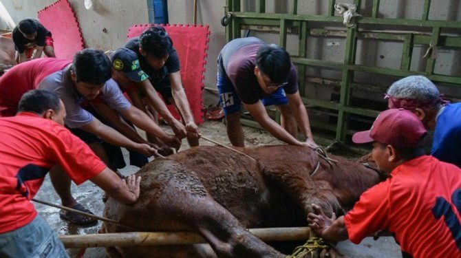 DPW LDII Sumatera Barat (Sumbar) menebar daging kurban kepada masyarakat, di berbagai wilayah di Provinsi Sumbar. Foto: LINES.