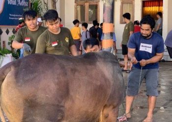 LDII Sulteng Berkurban Ratusan Ternak Saat Idul Adha