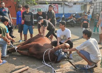 PAC LDII Jakasampurna Wajibkan Sertifikat Vaksin untuk Hewan Kurban