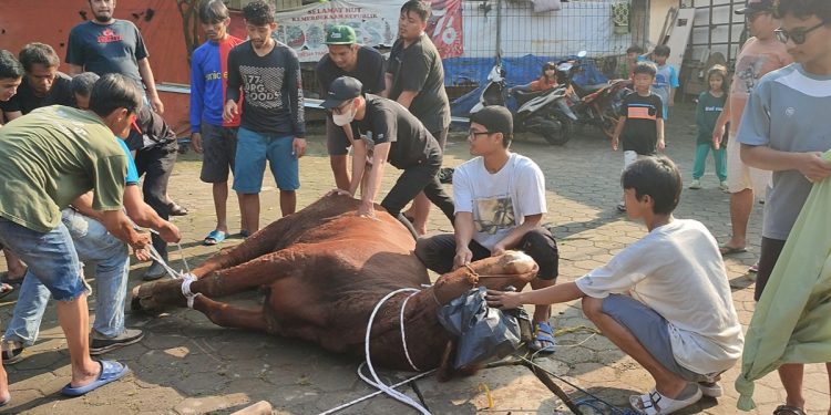 LDII Jakasampurna melaksanakan penyembelihan hewan kurban yang terdiri dari 26 sapi dan 13 ekor kambing. Foto: LINES.