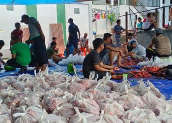 LDII Papua Barat Datangkan Dokter Hewan Guna Jaga Kualitas Daging Kurban