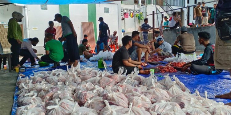 Pada perayaan Idul Adha 1444 H, warga LDII Papua Barat melaksanakan kurban dengan menyembelih 89 ekor ternak yang terdiri dari 80 ekor sapi dan sembilan ekor kambing yang dikurbankan. Foto: LINES.