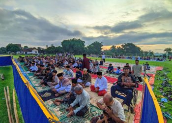 SOlat ied LDII