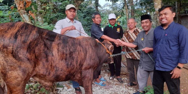 Bupati Gunungkidul, Sunaryanta, menyerahkan hibah berupa hewan kurban kepada LDII Gunungkidul dan ormas Islam lainnya untuk kedua kali. Foto: LINES.