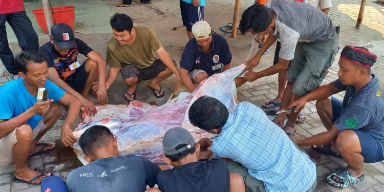 Menurut Ketua DPD LDII Kota Bekasi, Ary Widjanarko semangat berkurban warga LDII terus mengalami peningkatan. Foto: LINES.