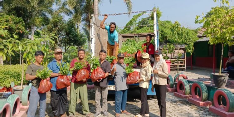 DPD LDII Lampung Selatan bekerja sama dengan Dinas Kehutanan Kabupaten Lampung Selatan merencanakan penanaman 5.000 bibit pohon. Foto: LINES.
