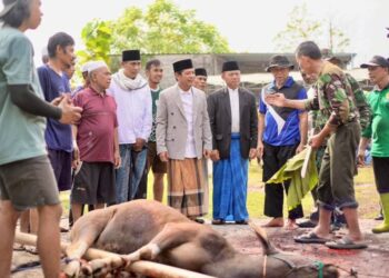 Ikuti Prosesi Kurban, Bupati BBF Apresiasi Kurban Berbagi LDII Dompu