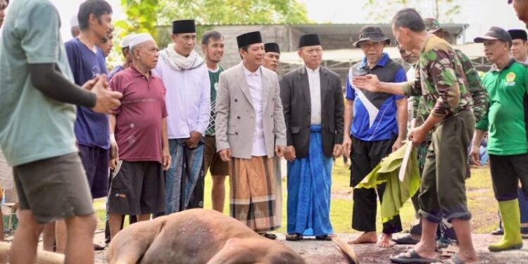 Bupati Dompu, Bambang Firdaus mengikuti proses penyembelihan hewan kurban Dewan Pimpinan Daerah (DPD) LDII Kabupaten Dompu, Nusa Tenggara Barat. Foto: LINES