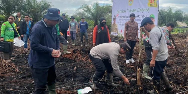 DPW LDII Kalimantan Barat (Kalbar) menggelar “Gerakan Tanam Jagung dan Optimalisasi Lahan” di Desa Rasau Jaya Umum, Kubu Raya. Foto: LINES.