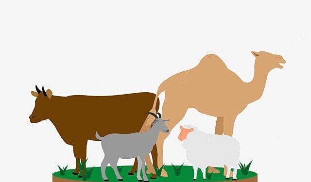 Ilustrasi: Pinterest.