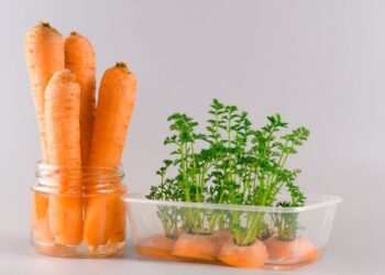 Bukan Cuma untuk Mata, Ini 5 Alasan Wortel Layak Dikonsumsi Setiap Hari
