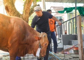 LDII Kota Semarang Tingkatkan Jumlah Kurban, Total Nilai Ekonomi Capai Rp10 Miliar