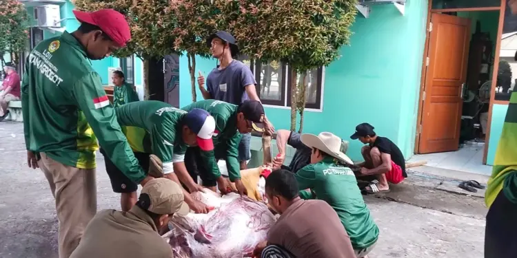 Peringatan Hari Raya Idul Adha 1446 Hijriah pada Jumat, 6 Juni 2025, menjadi momen warga LDII Kabupaten Paser membangun solidaritas antarwarga. Foto: LINES