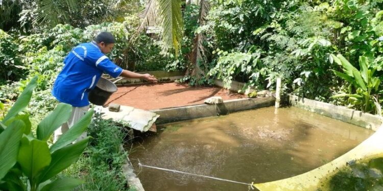 Prestasi diraih pemuda LDII DIY lewat ajang Proyek Sosial PFmuda 2025 yang digelar Pertamina Foundation. Foto: LINES