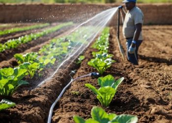 Santri PPM Al-Kautsar Malang Buat Irigasi Cerdas Raih Silver Medal BEC 3