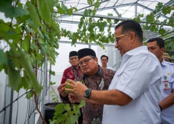 DPP LDII Audiensi dengan Kemendagri, Perkuat Kolaborasi Ketahanan Pangan Pascamunas X 2026