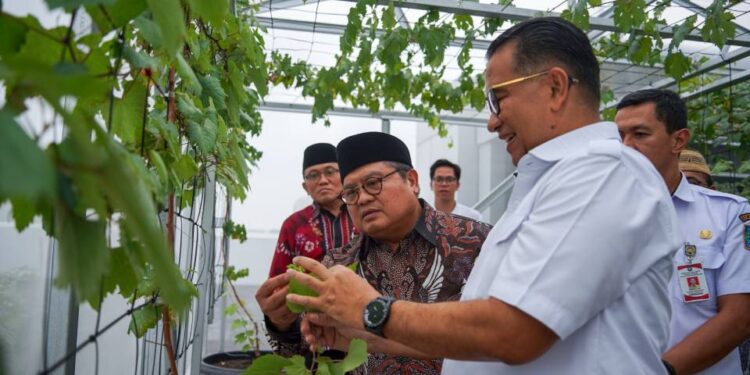 Audiensi LDII bersama Dirjen Polpum Kemendagri terkait ketahanan pangan. Foto: LINES.