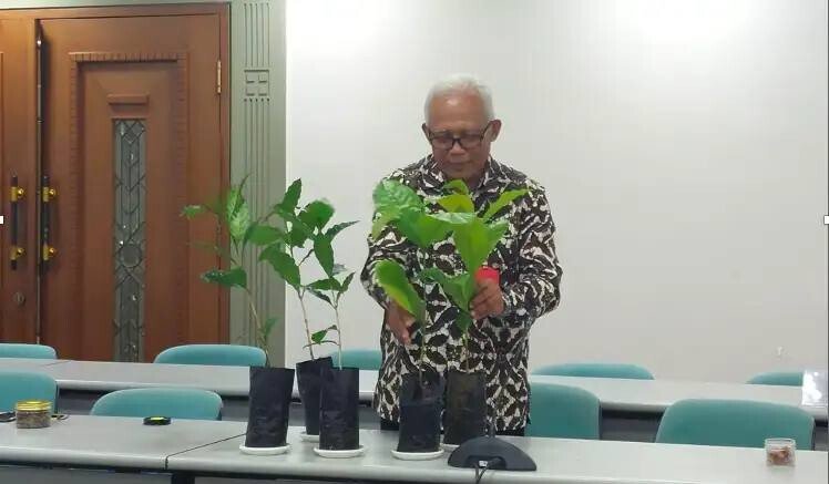 Kembangkan Varietas Kopi Unggul di Tana Toraja, Warga LDII Raih Penghargaan Satyalancana Wira Karya