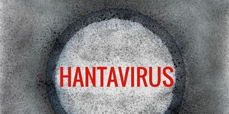 Epidemolog Dicky Budiman Ajak Waspadai Hantavirus tanpa Panik