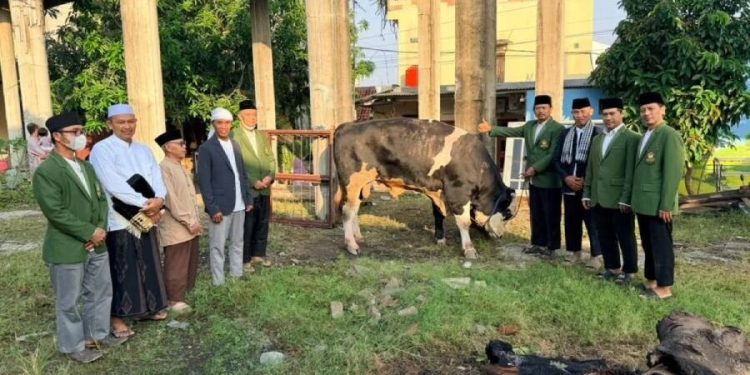 Bantuan Sapi Kurban di PAC LDII Setia Asih, Tarumajaya. Foto: LINES.