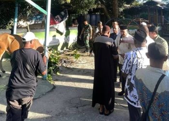 Bupati Kaimana Berikan Bantuan Sapi Kurban untuk Warga LDII