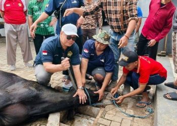 LDII Jabar Catat Nilai Kurban Rp76,13 Miliar pada Idul Adha 1447 H