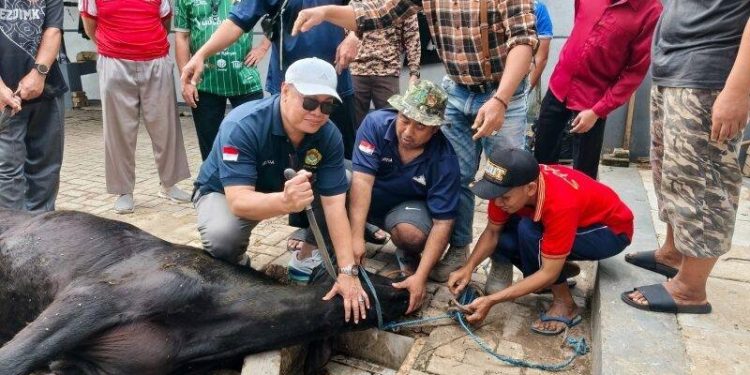 LDII Jawa Barat menyembelih kurban secara gotong royong. Foto: LINES.