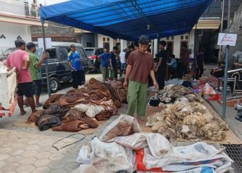 Kurban LDII Wonogiri Meningkat 7,81 Persen, Nilai Ekonomi Tembus Rp13,2 Miliar