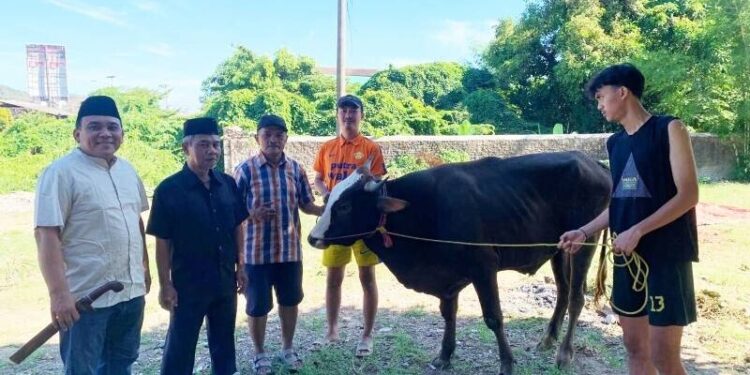 Gubernur Banten, Andra Soni, menyalurkan bantuan hewan kurban kepada LDII Banten. Foto: LINES.